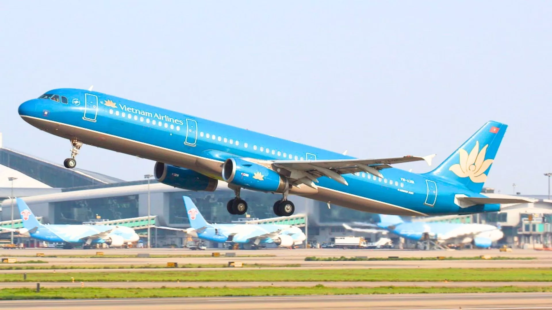 Vietnam airline