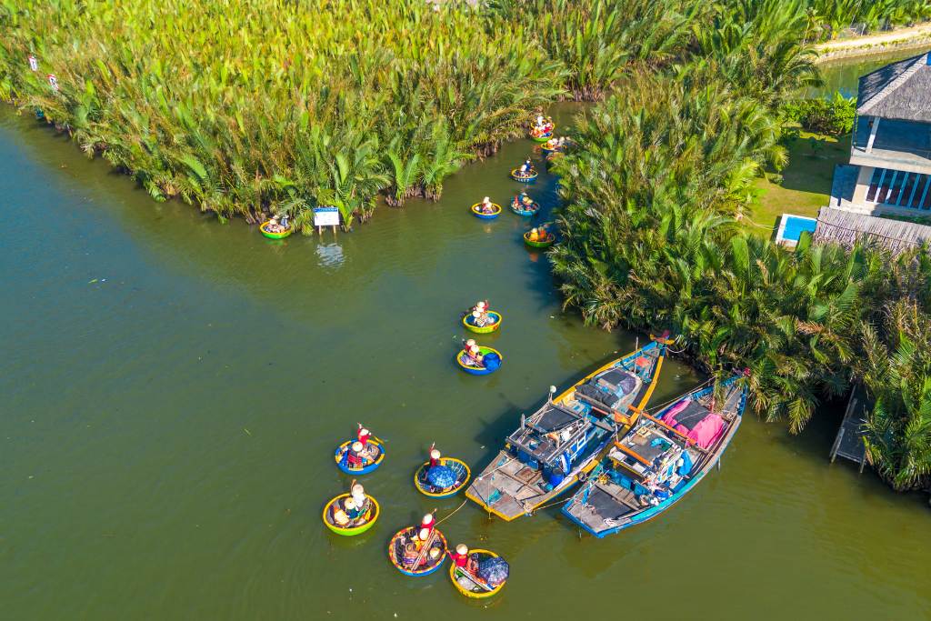 Forêt de cocotiers à Hoi An