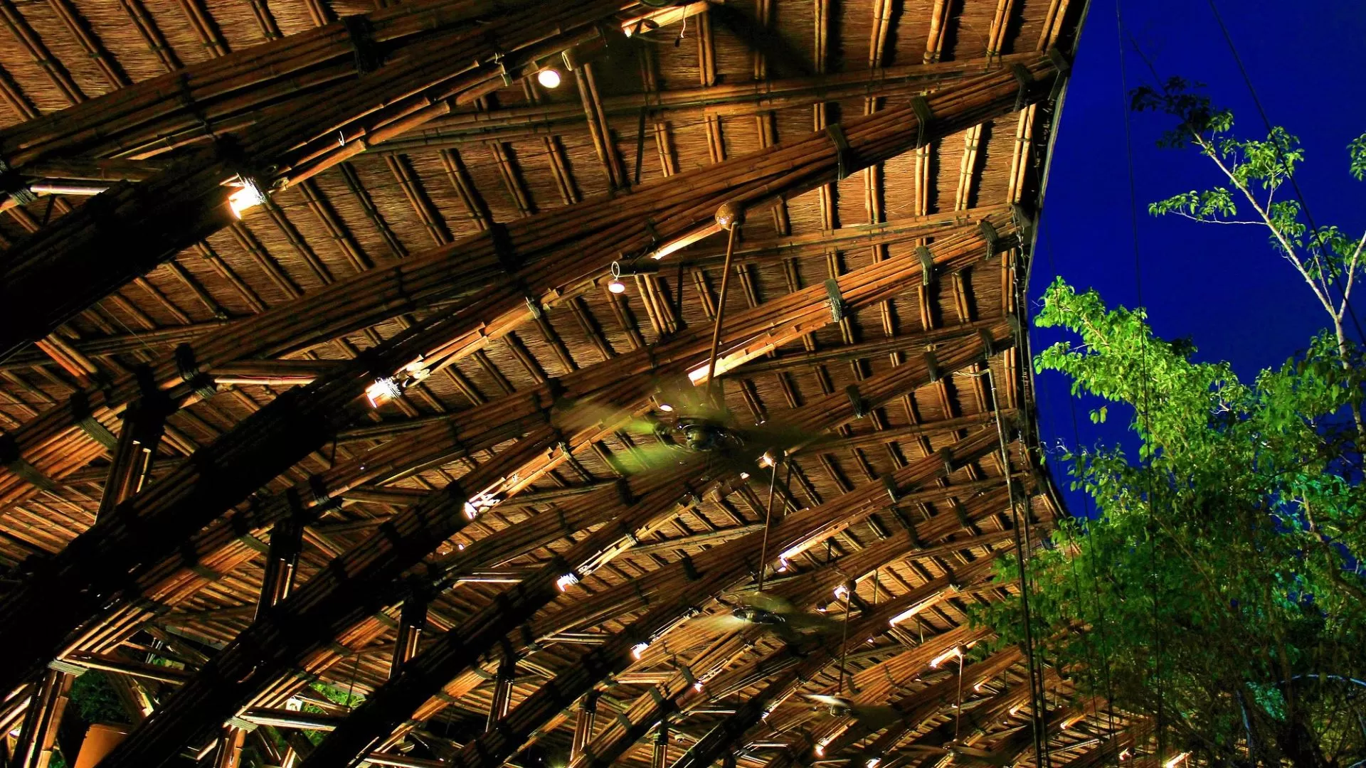 Complexe Bambou de Dai Lai