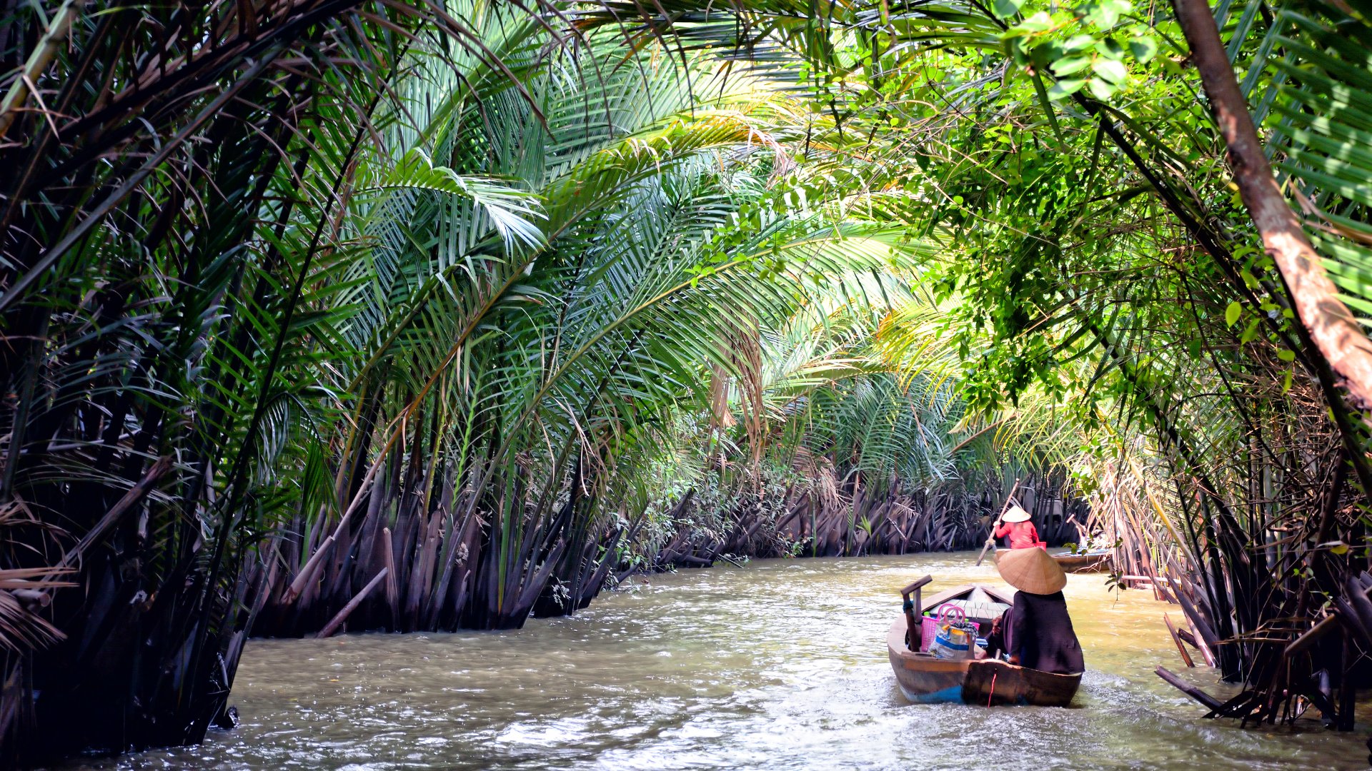 Delta du Mekong